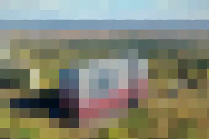 Laan van Vollenhove 762 Zeist thumbnail 36