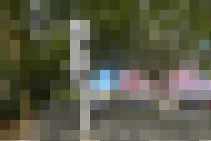 Laan van Vollenhove 762 Zeist thumbnail 5