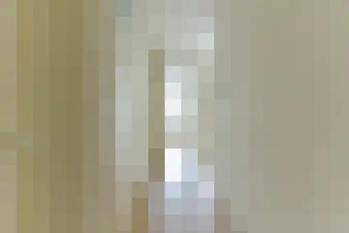 Laan van Vollenhove 78 Zeist thumbnail 10