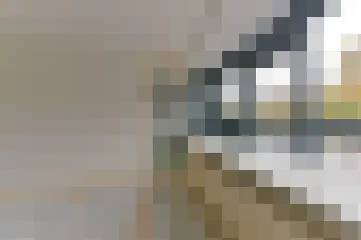 Laan van Vollenhove 78 Zeist thumbnail 19