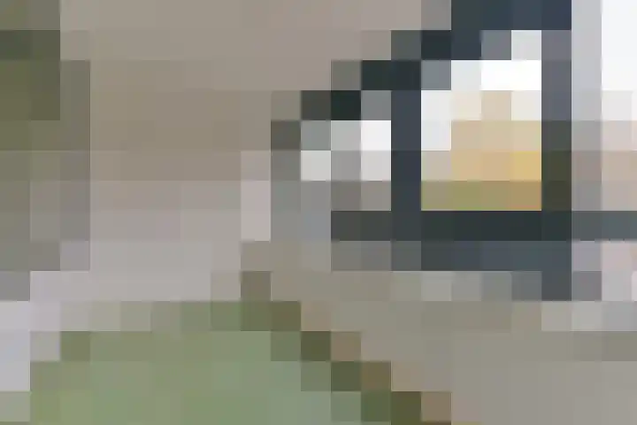 Laan van Vollenhove 78 Zeist thumbnail 20
