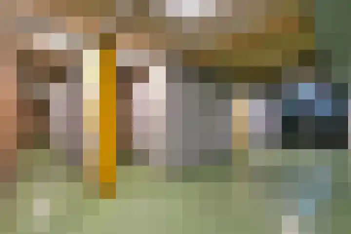 Laan van Vollenhove 78 Zeist thumbnail 33