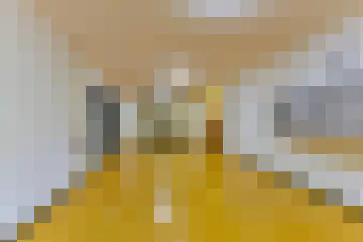 Laan van Vollenhove 78 Zeist thumbnail 8