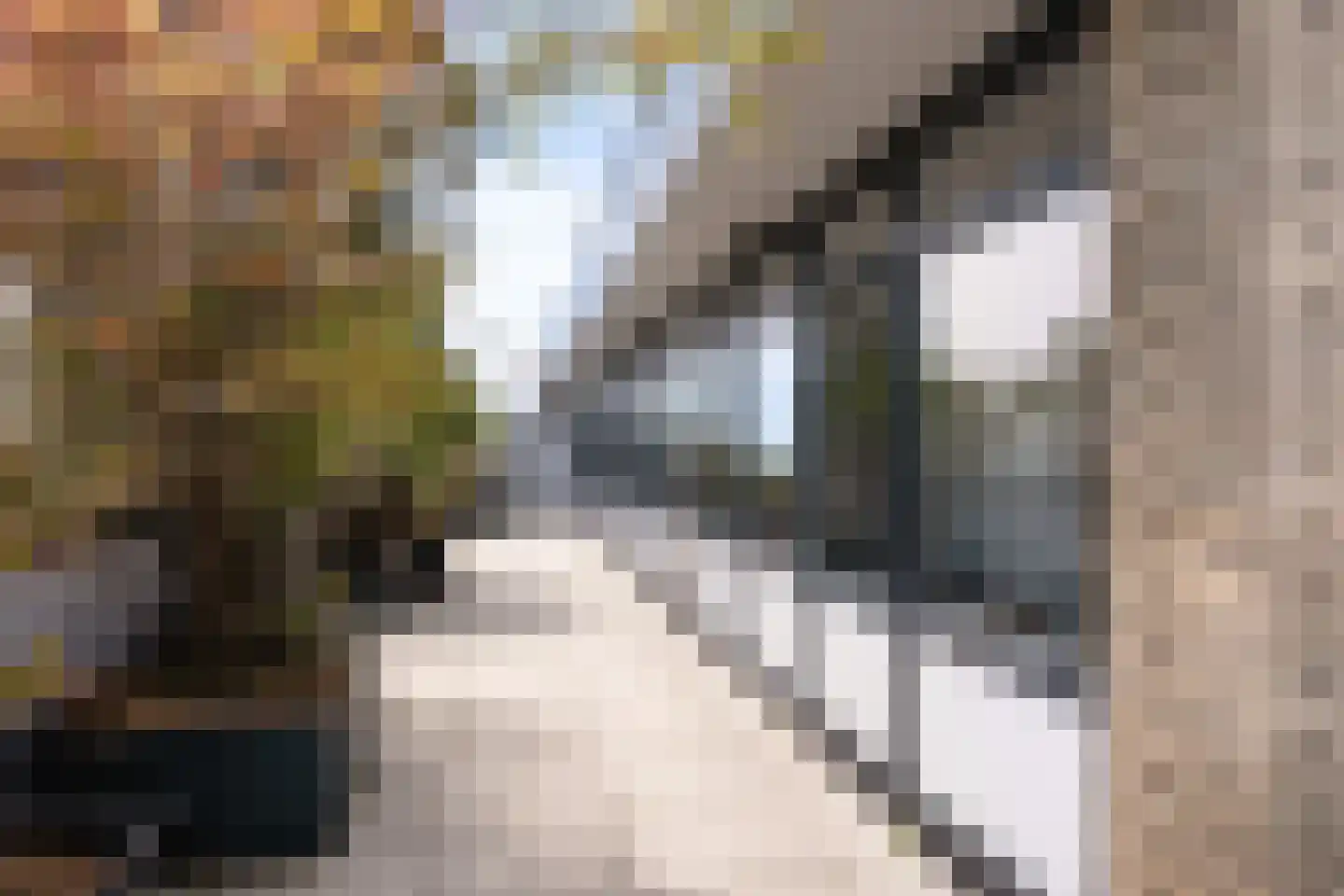 Laan van Vollenhove 786 Zeist thumbnail 42