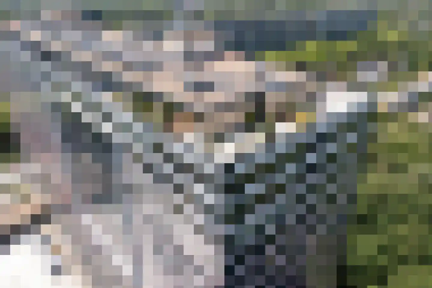 Laan van Vollenhove 786 Zeist thumbnail 44