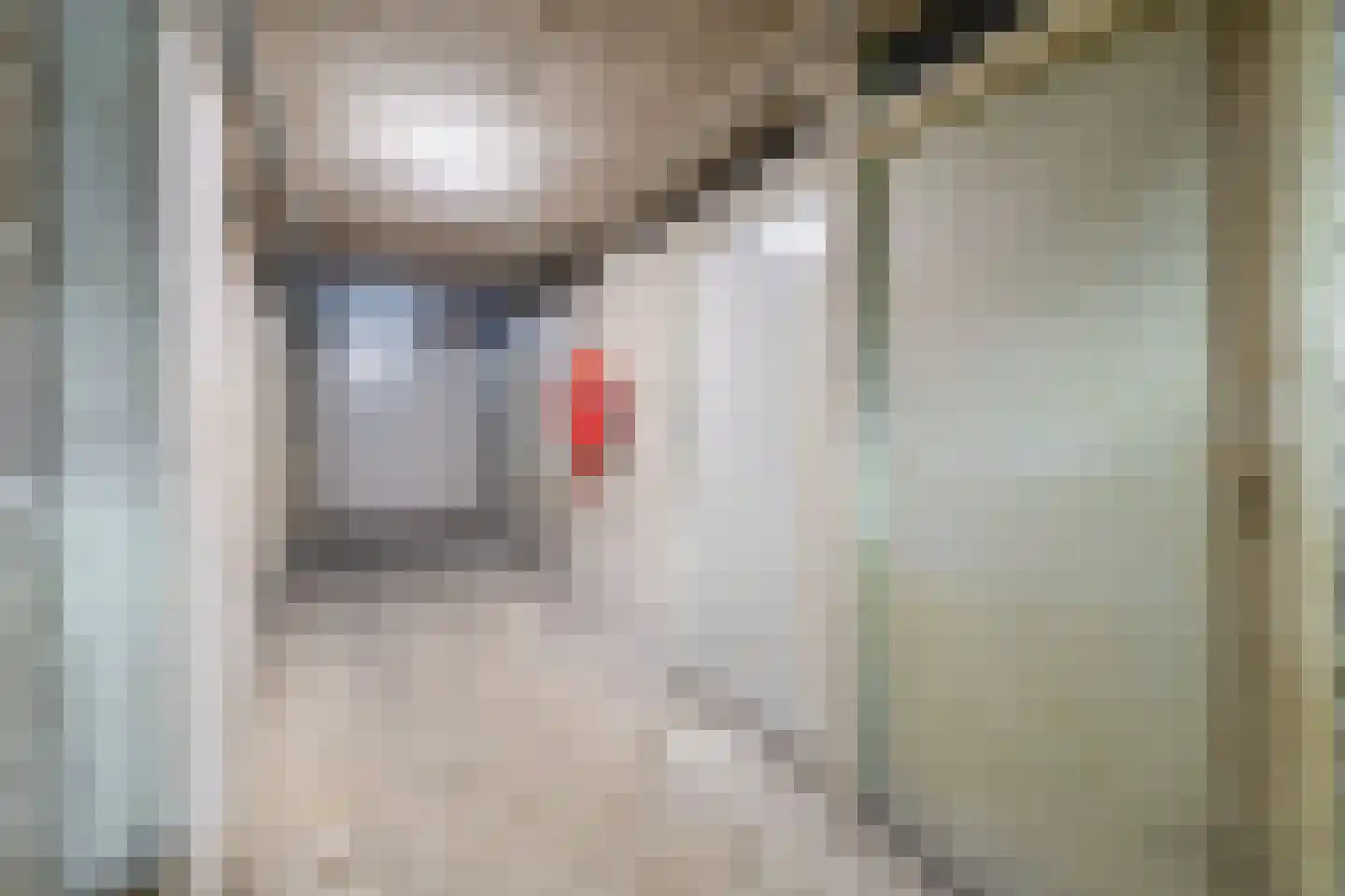 Laan van Vollenhove 840 Zeist thumbnail 22