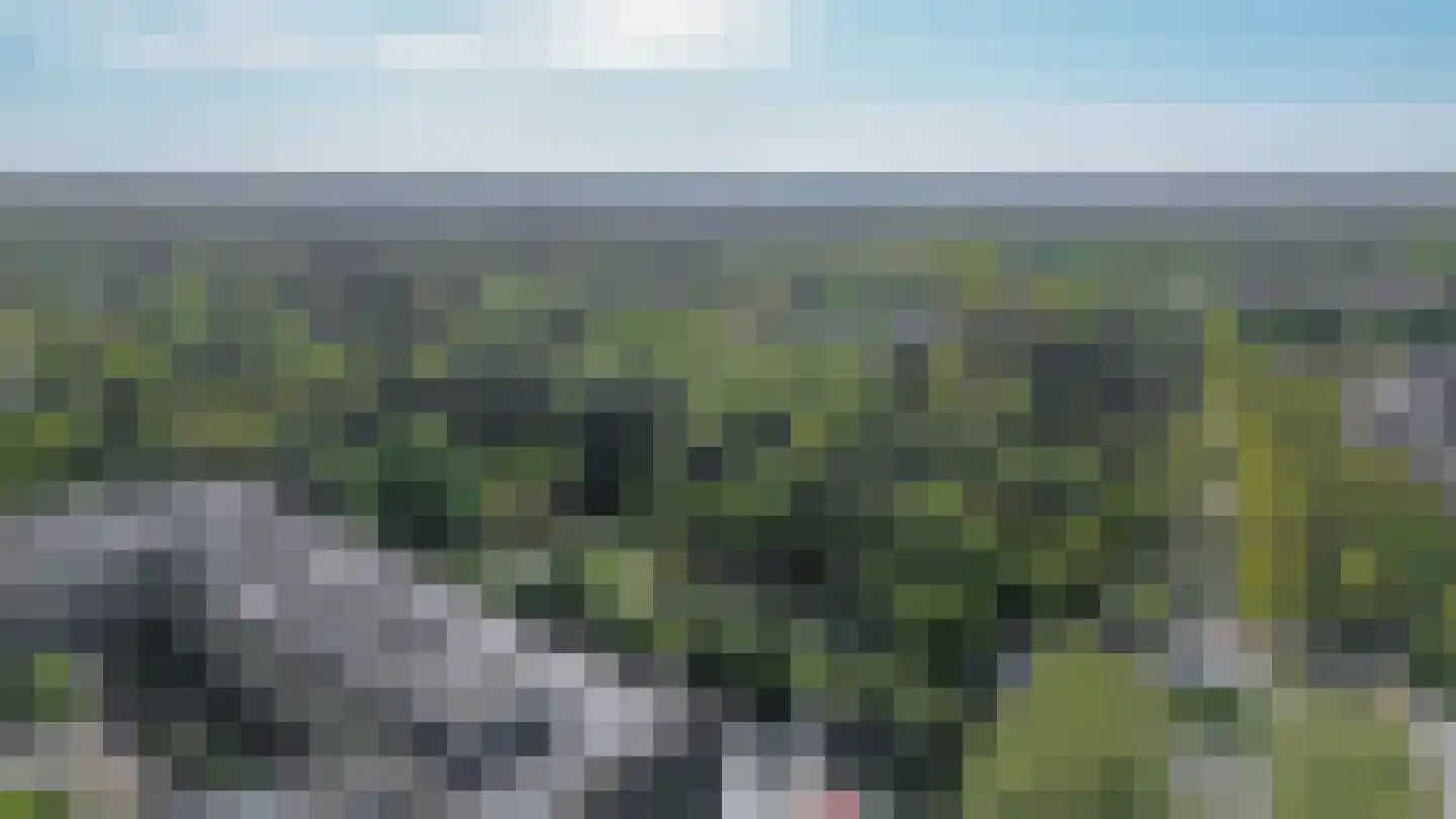 Laan van Vollenhove 840 Zeist thumbnail 24