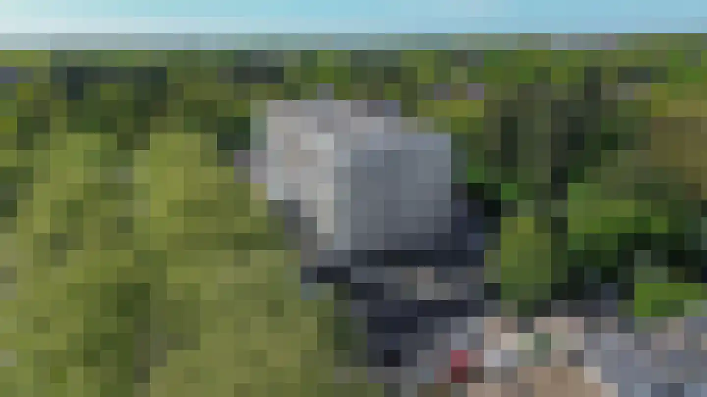 Laan van Vollenhove 840 Zeist thumbnail 25