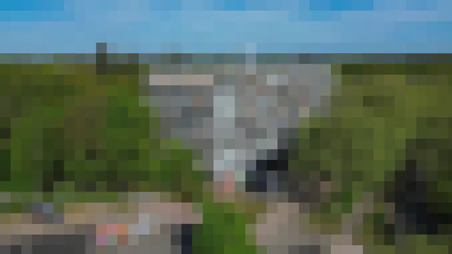 Laan van Vollenhove 840 Zeist foto 3