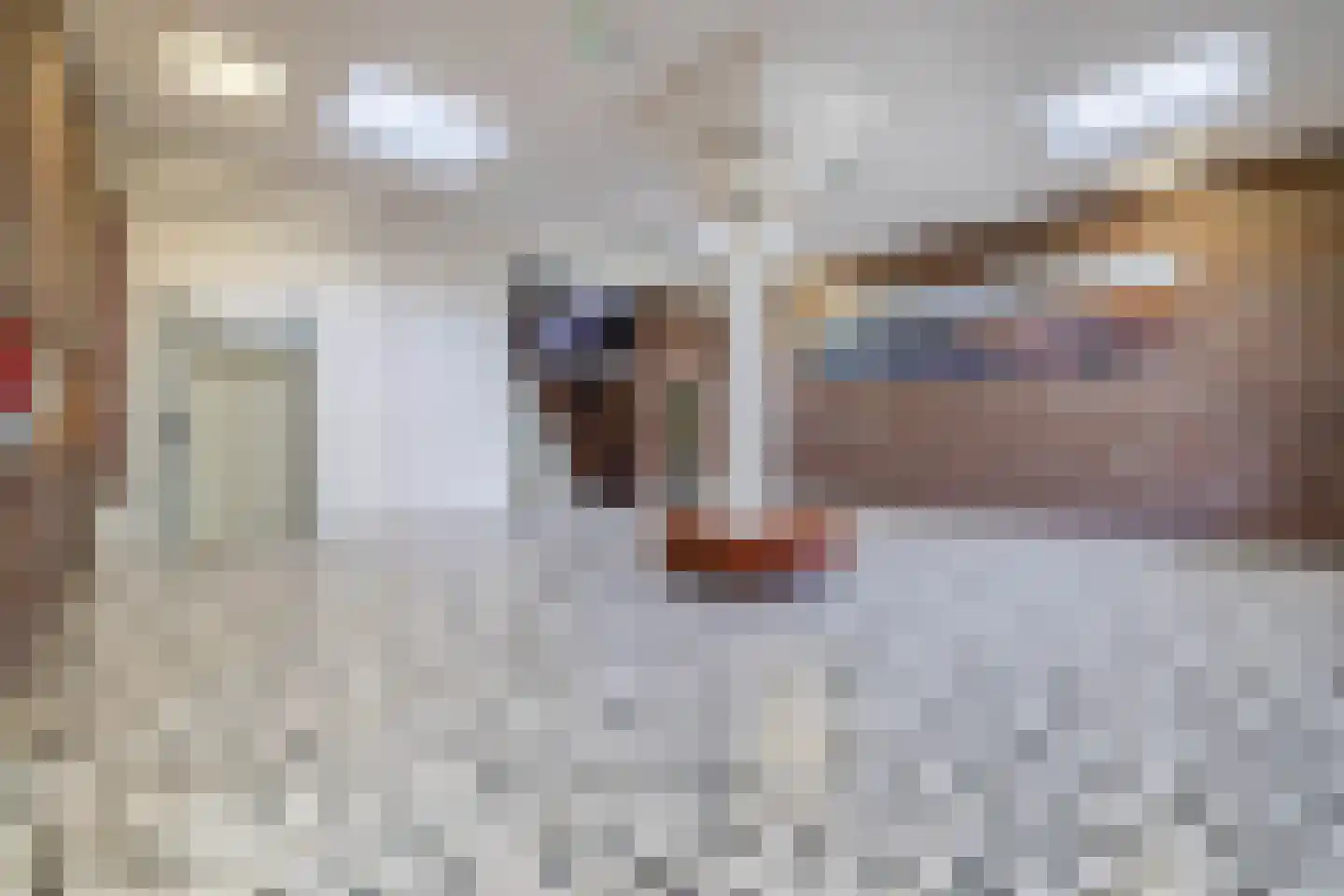 Laan van Vollenhove 840 Zeist thumbnail 6