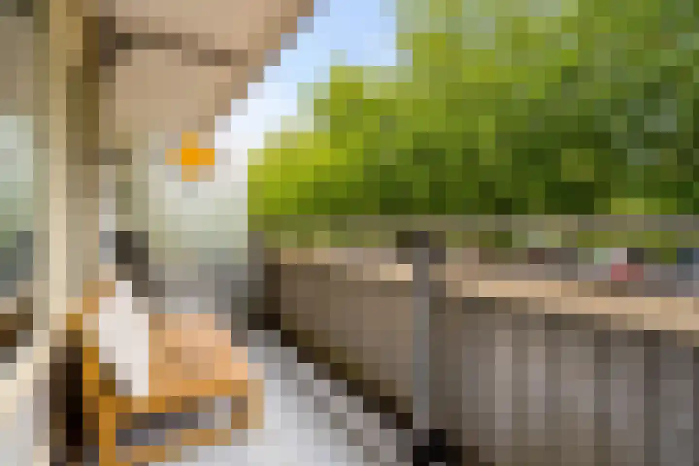 Laan van Vollenhove 850 Zeist thumbnail 21