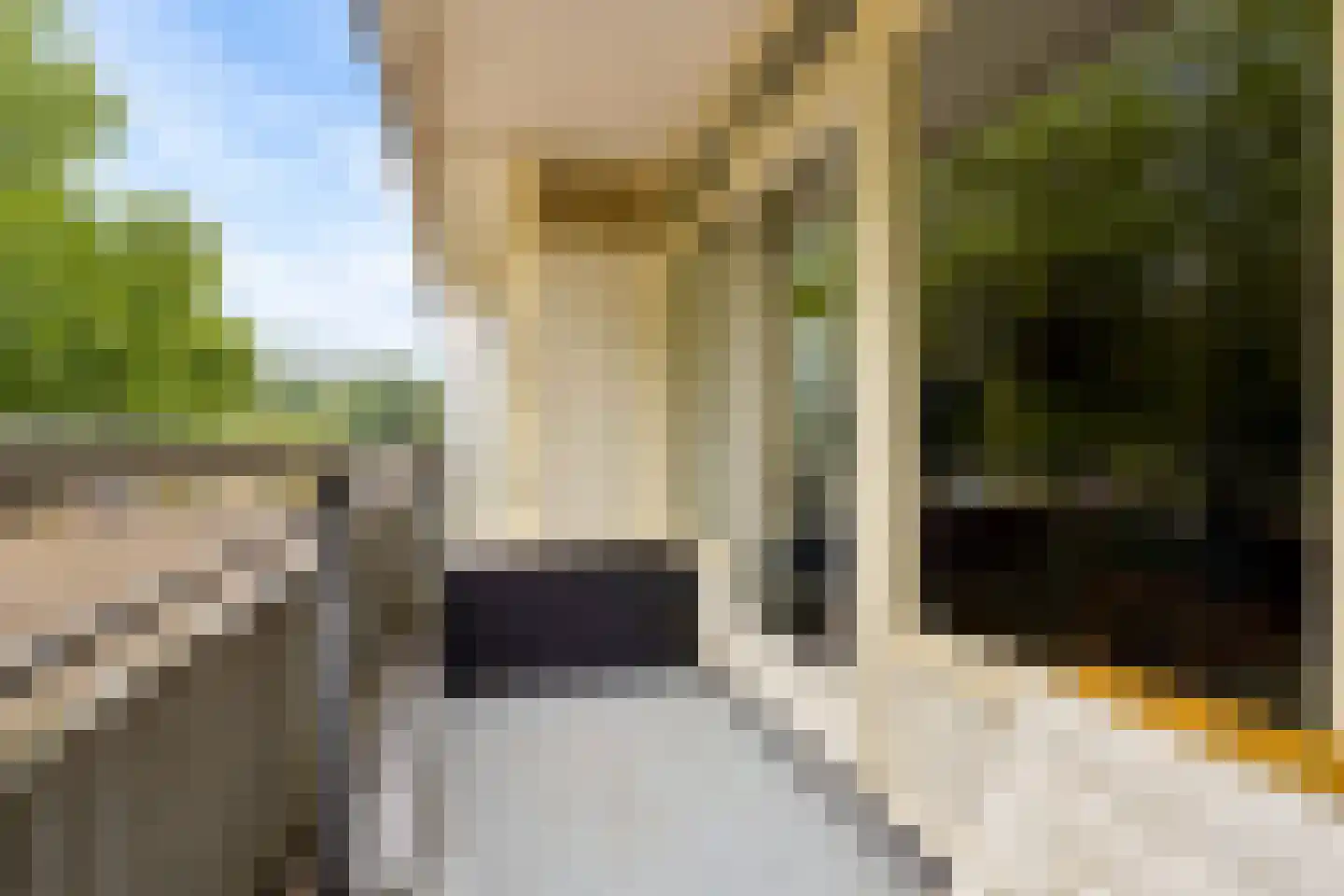 Laan van Vollenhove 850 Zeist thumbnail 22