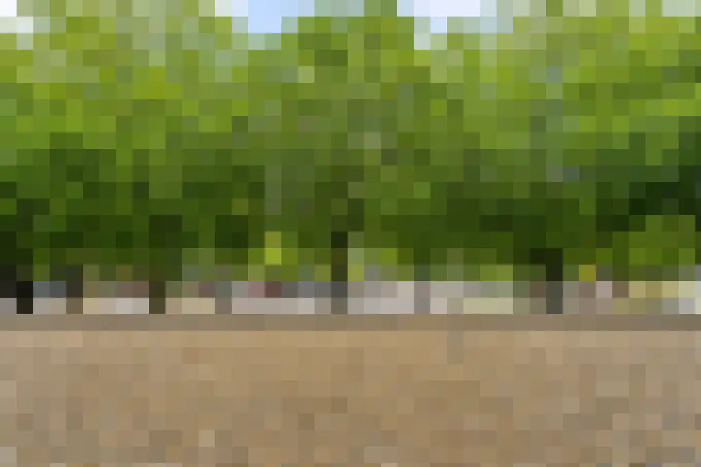 Laan van Vollenhove 850 Zeist thumbnail 23