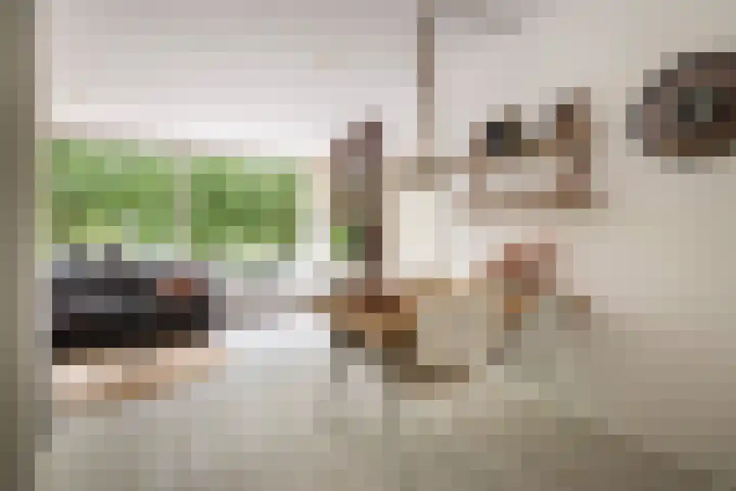 Laan van Vollenhove 852 Zeist thumbnail 12