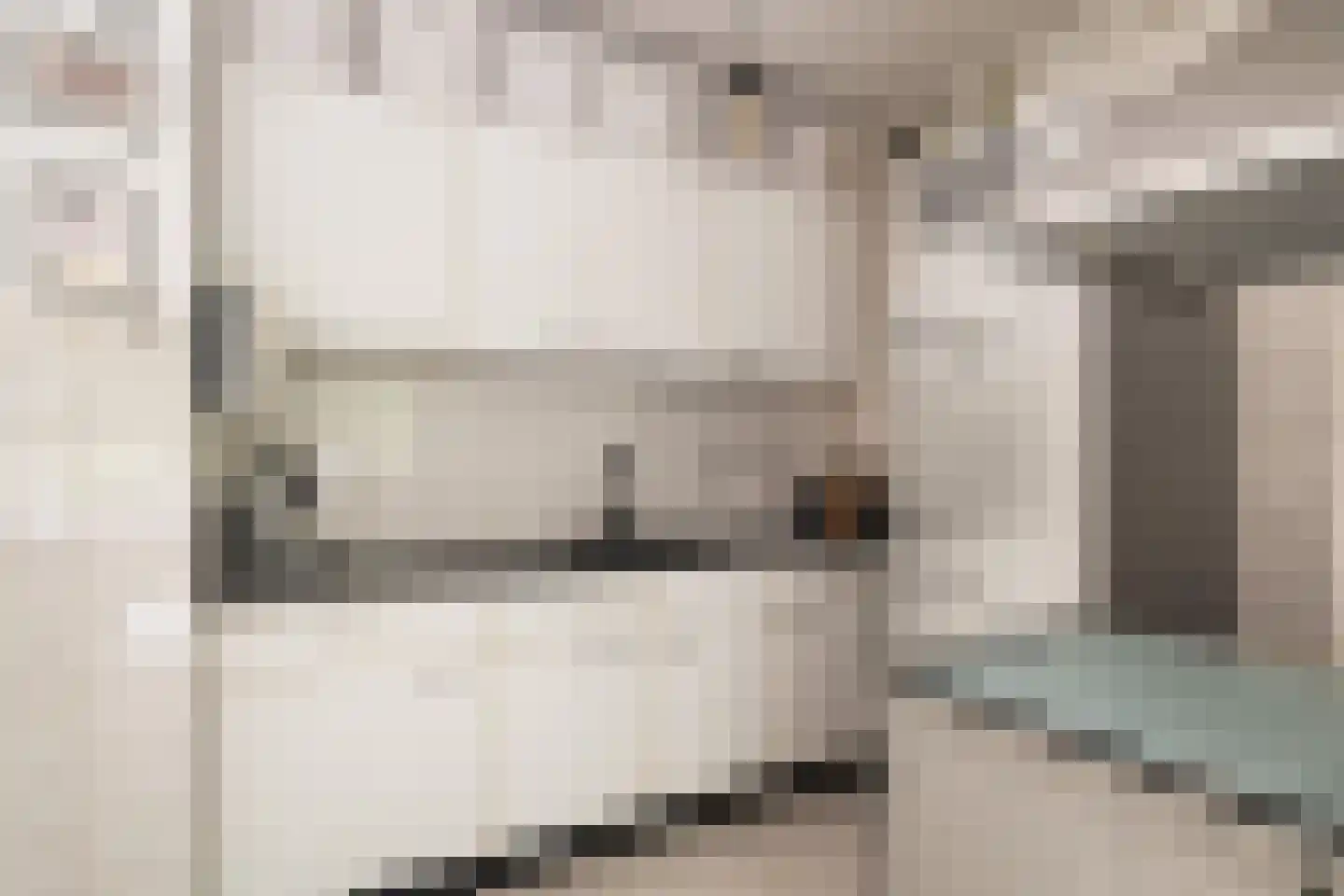 Laan van Vollenhove 852 Zeist thumbnail 18
