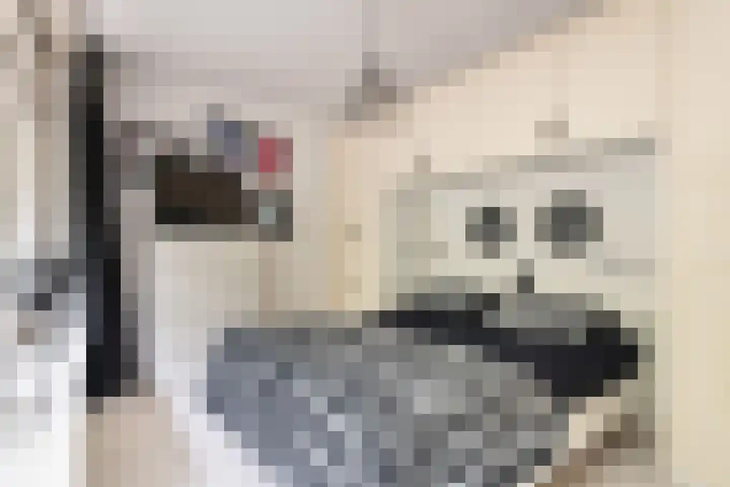 Laan van Vollenhove 852 Zeist thumbnail 20
