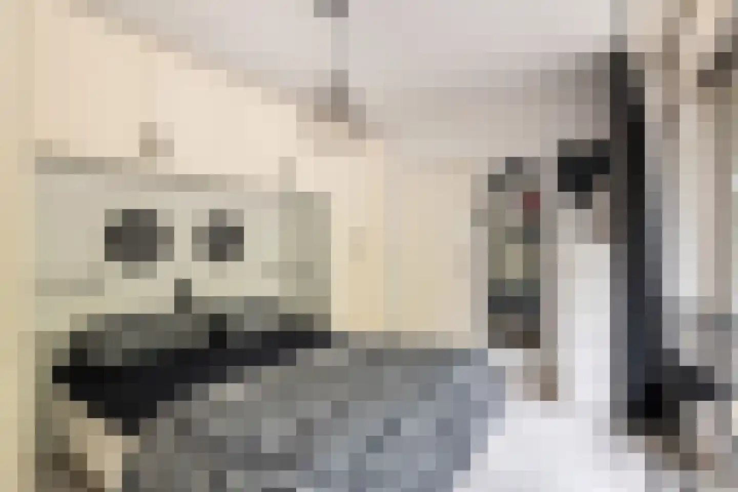 Laan van Vollenhove 852 Zeist thumbnail 21