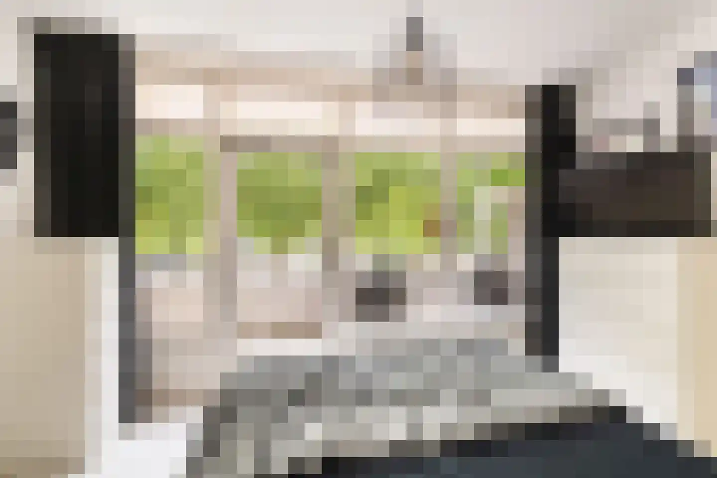Laan van Vollenhove 852 Zeist thumbnail 22