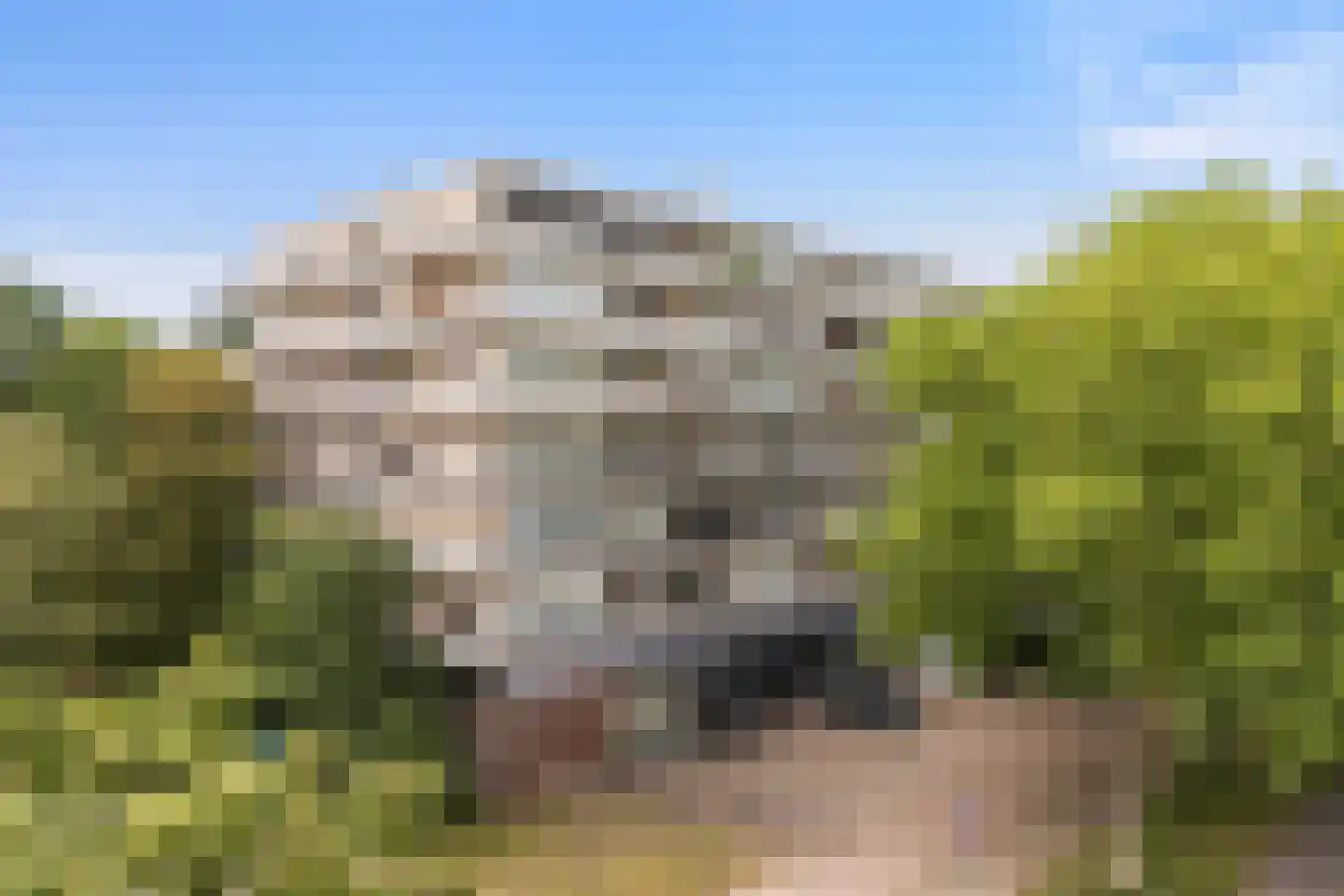 Laan van Vollenhove 852 Zeist thumbnail 34