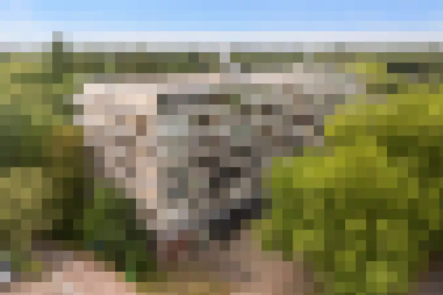 Laan van Vollenhove 852 Zeist thumbnail 35