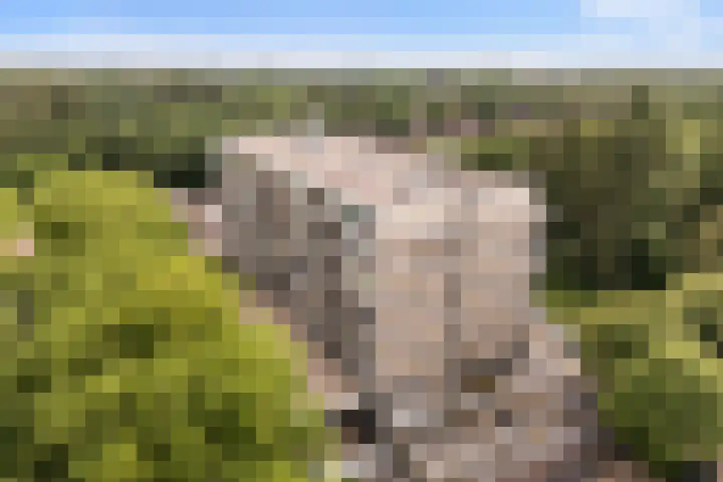 Laan van Vollenhove 852 Zeist thumbnail 36