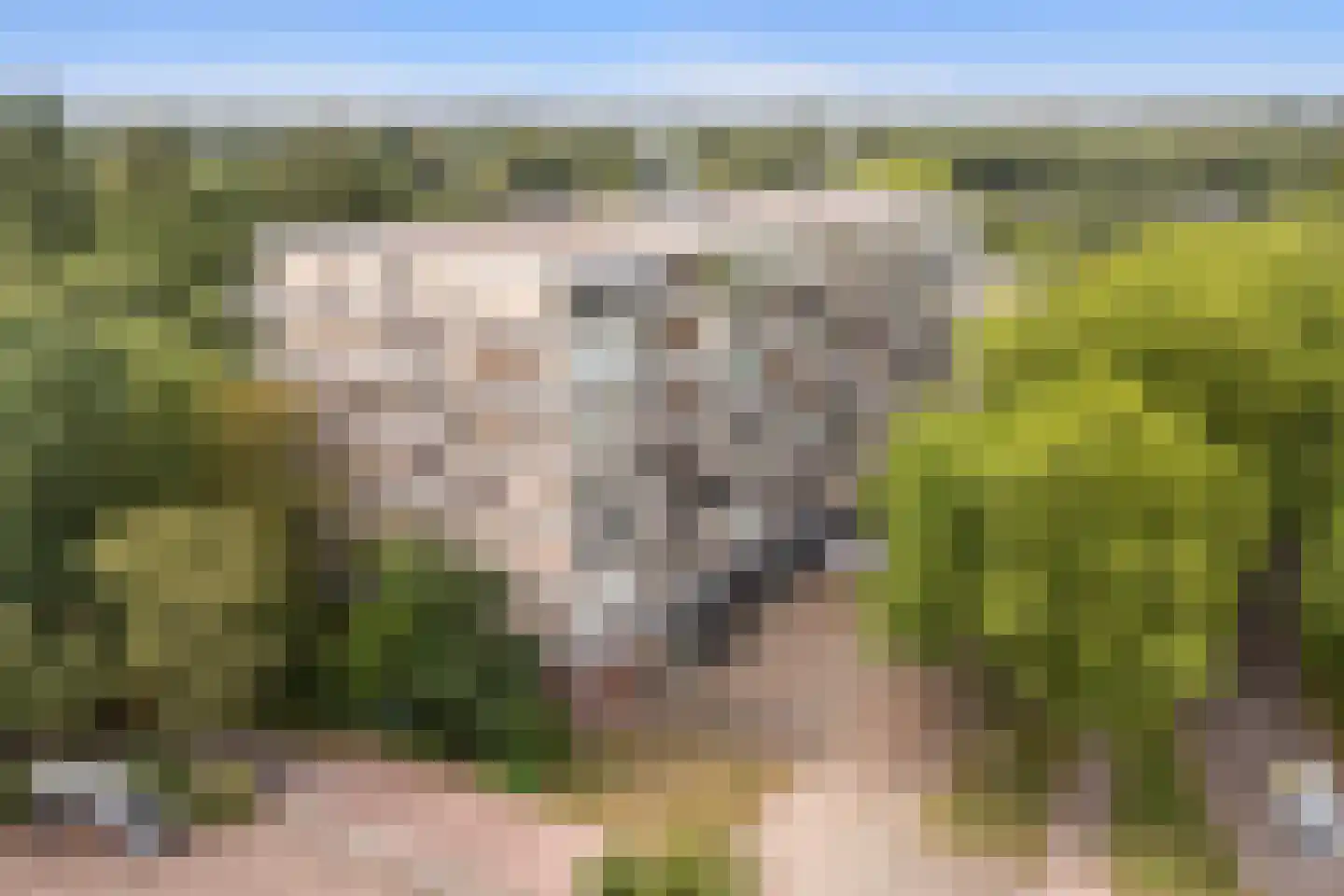 Laan van Vollenhove 852 Zeist thumbnail 37