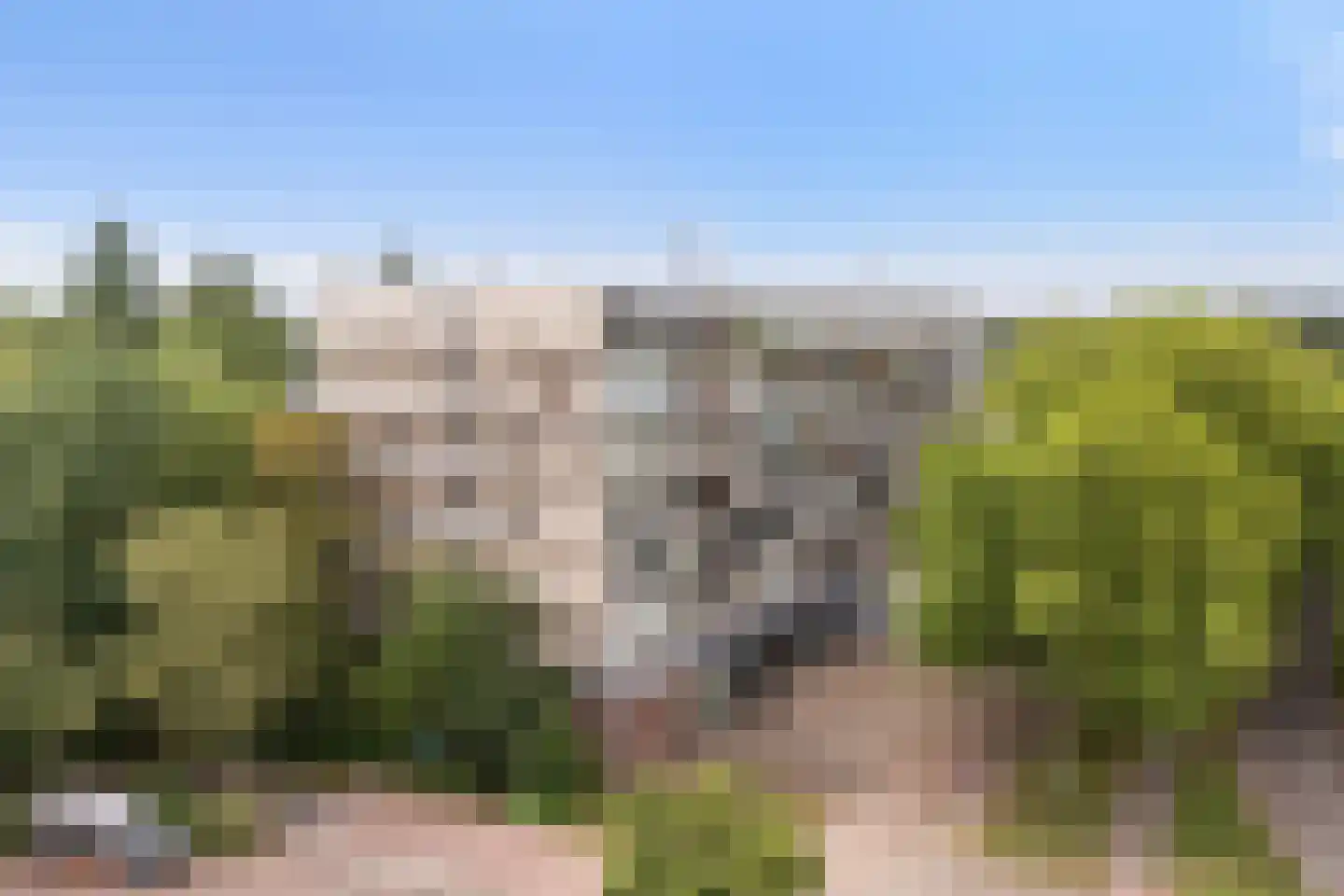 Laan van Vollenhove 852 Zeist thumbnail 38