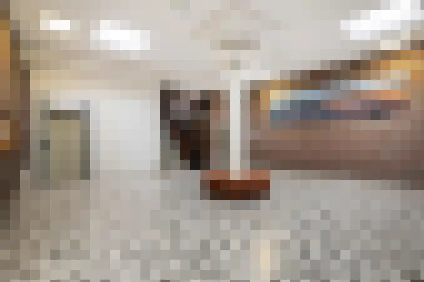 Laan van Vollenhove 852 Zeist thumbnail 7