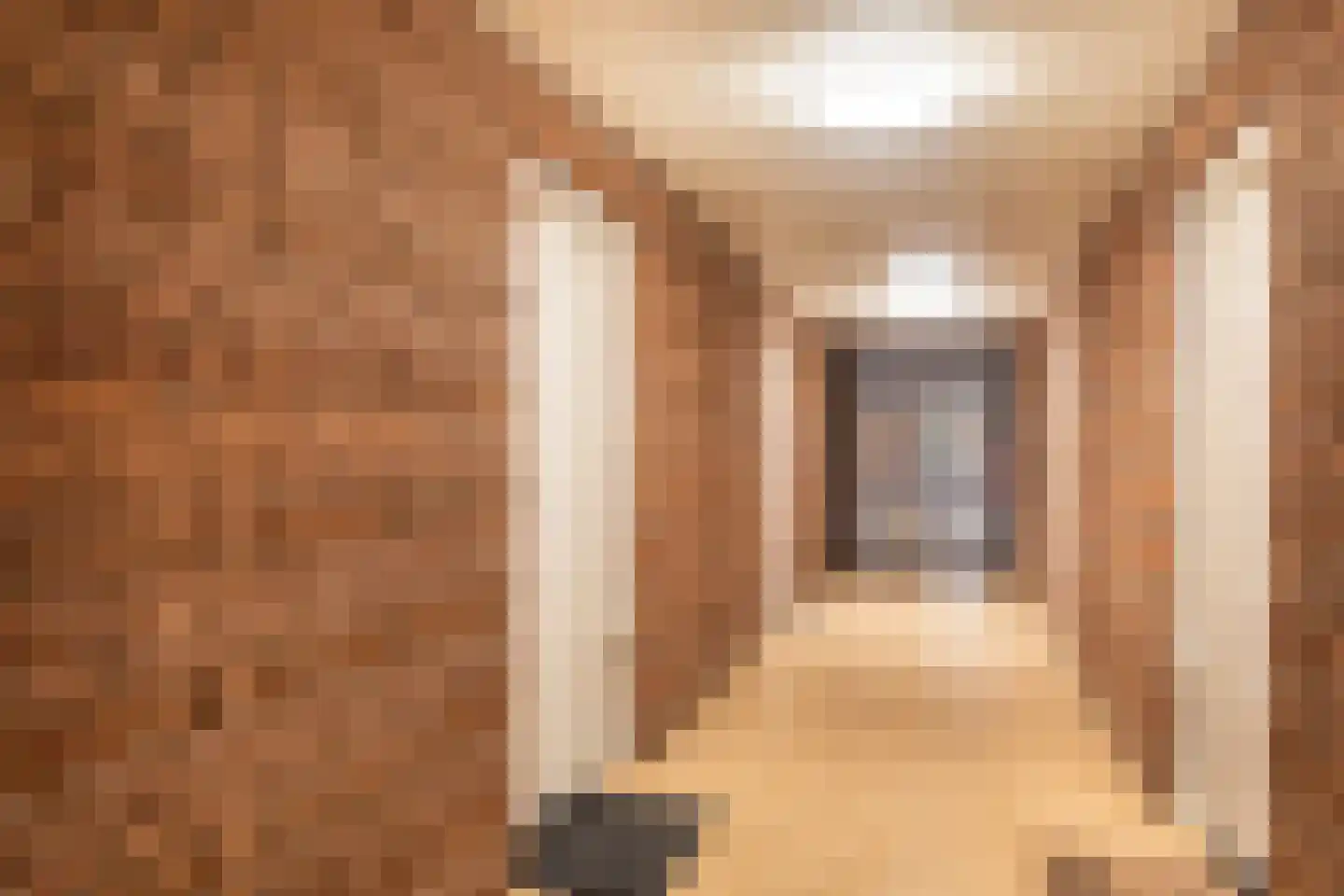 Laan van Vollenhove 852 Zeist thumbnail 8