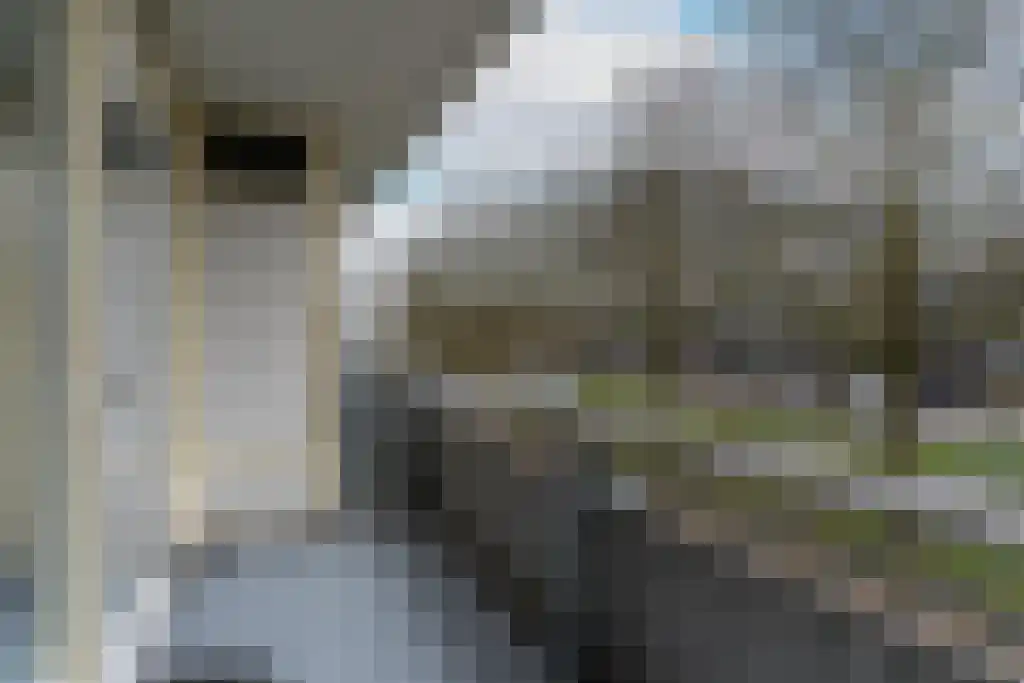 Laan van Vollenhove 860 Zeist thumbnail 18