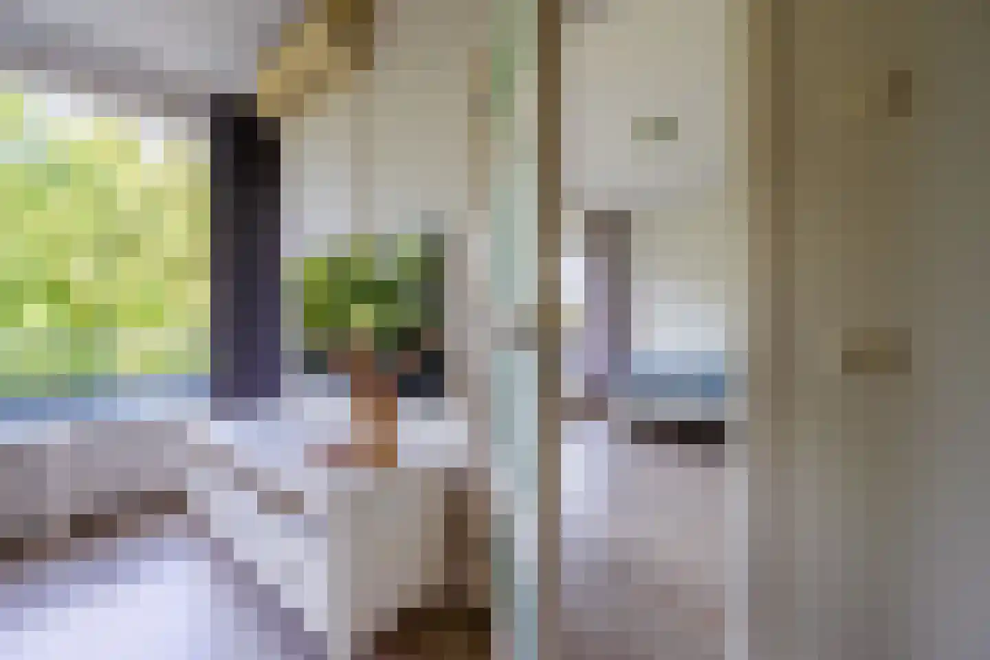 Laan van Vollenhove 872 Zeist thumbnail 10