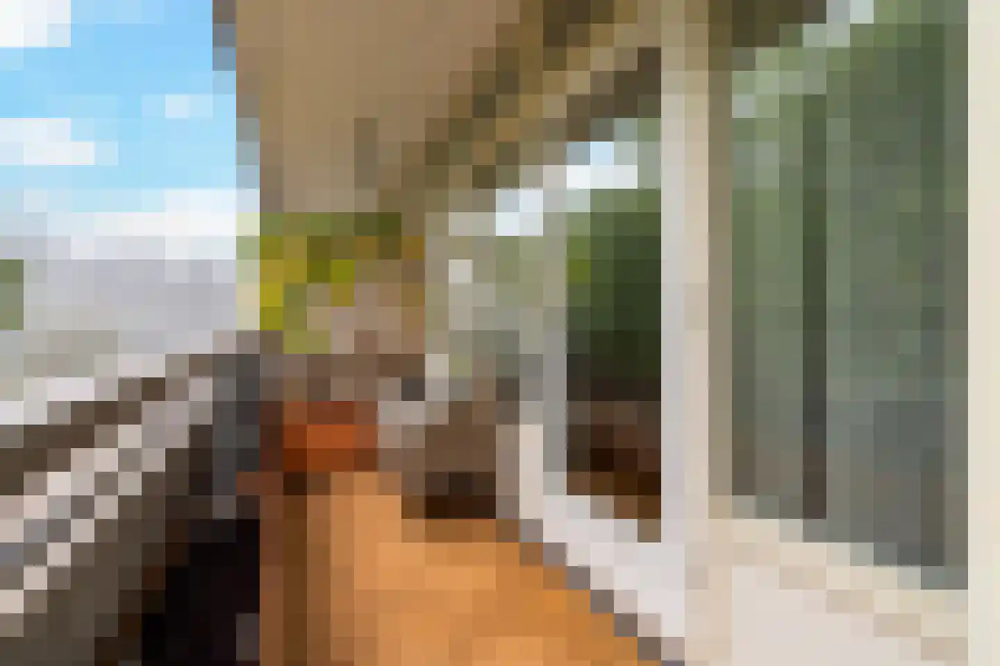 Laan van Vollenhove 882 Zeist thumbnail 21