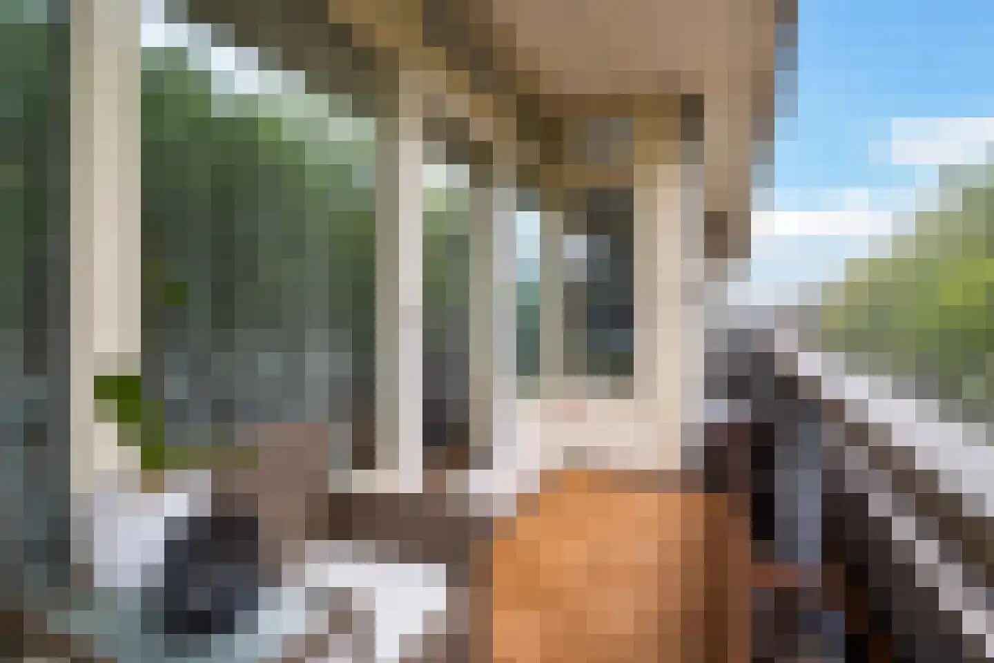 Laan van Vollenhove 882 Zeist thumbnail 22