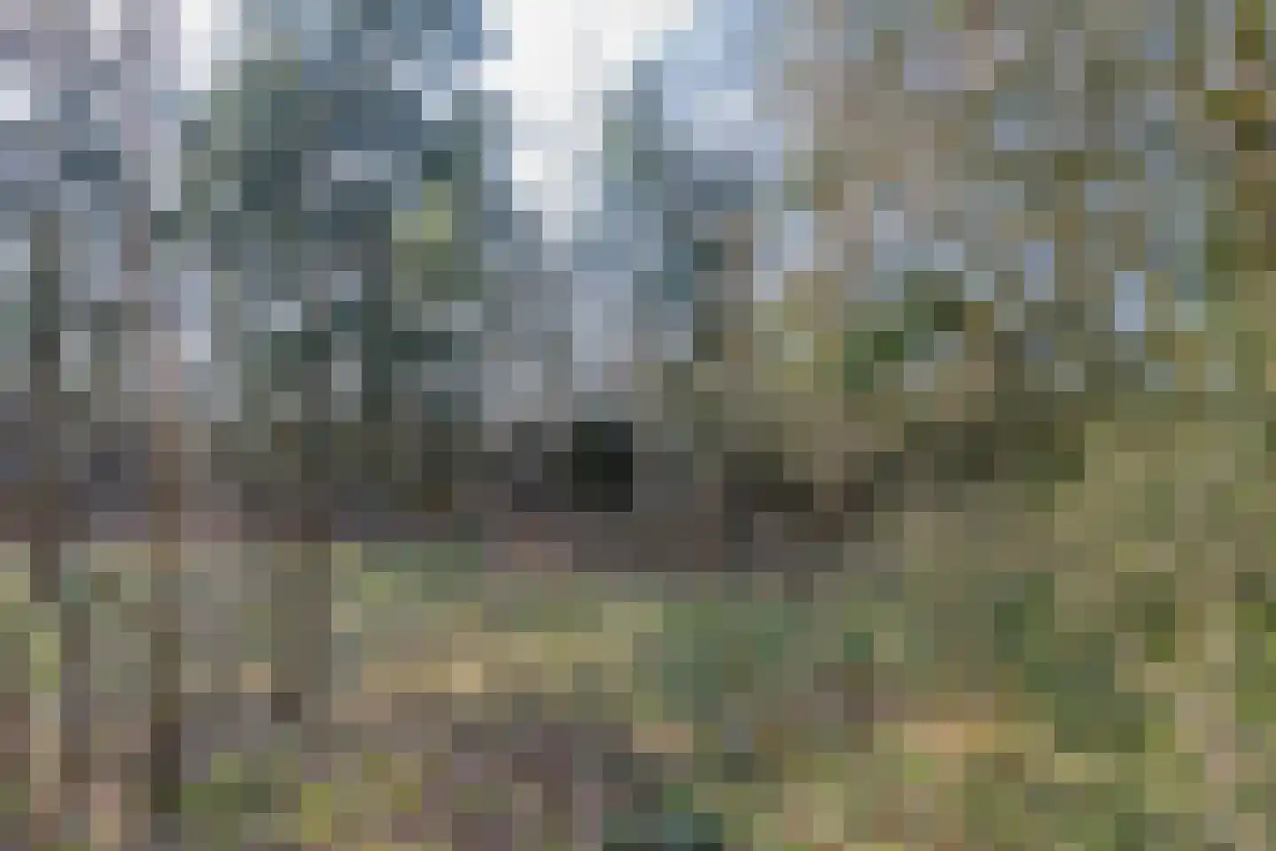 Laan van Vollenhove 934 Zeist thumbnail 20