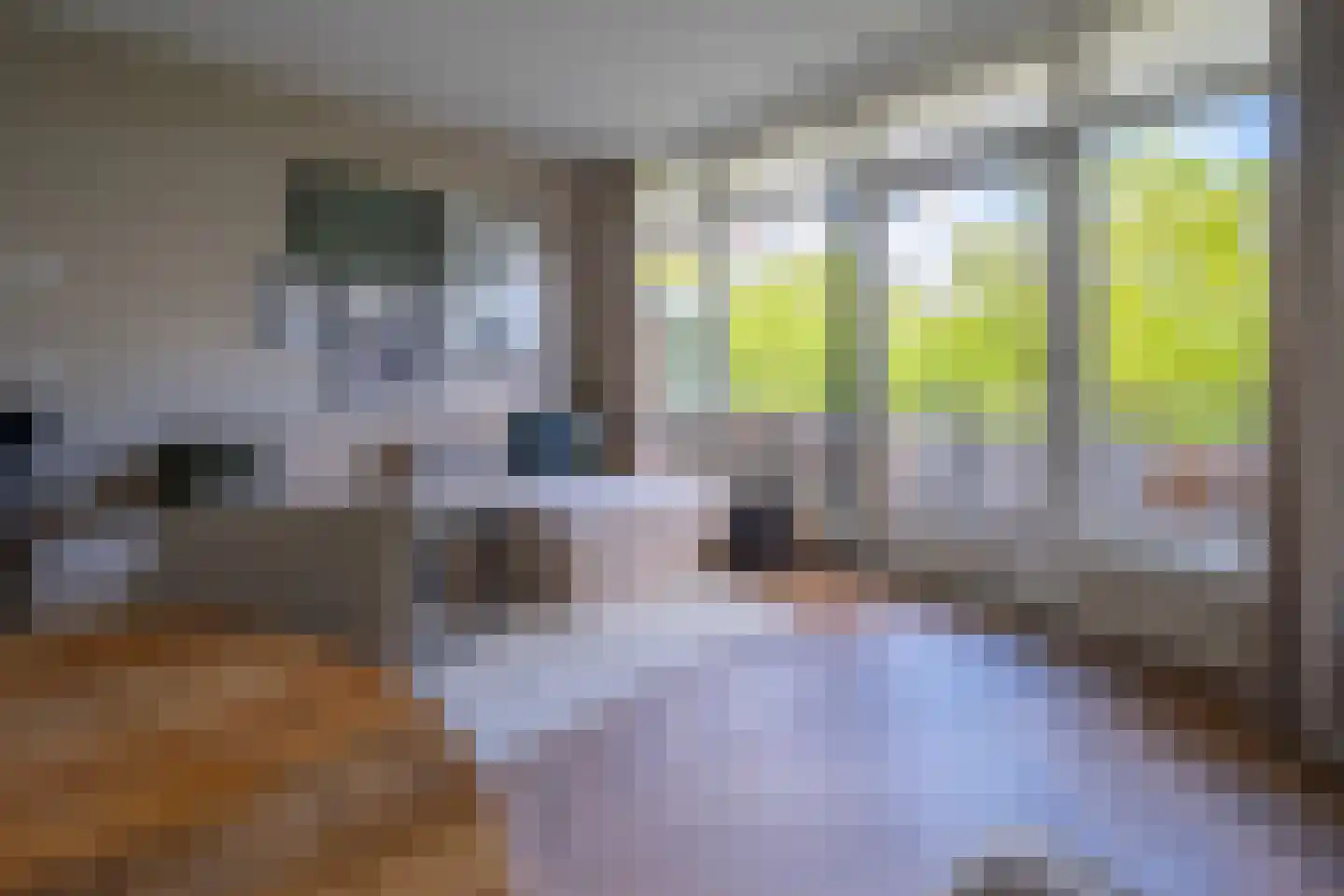 Laan van Vollenhove 944 Zeist thumbnail 10