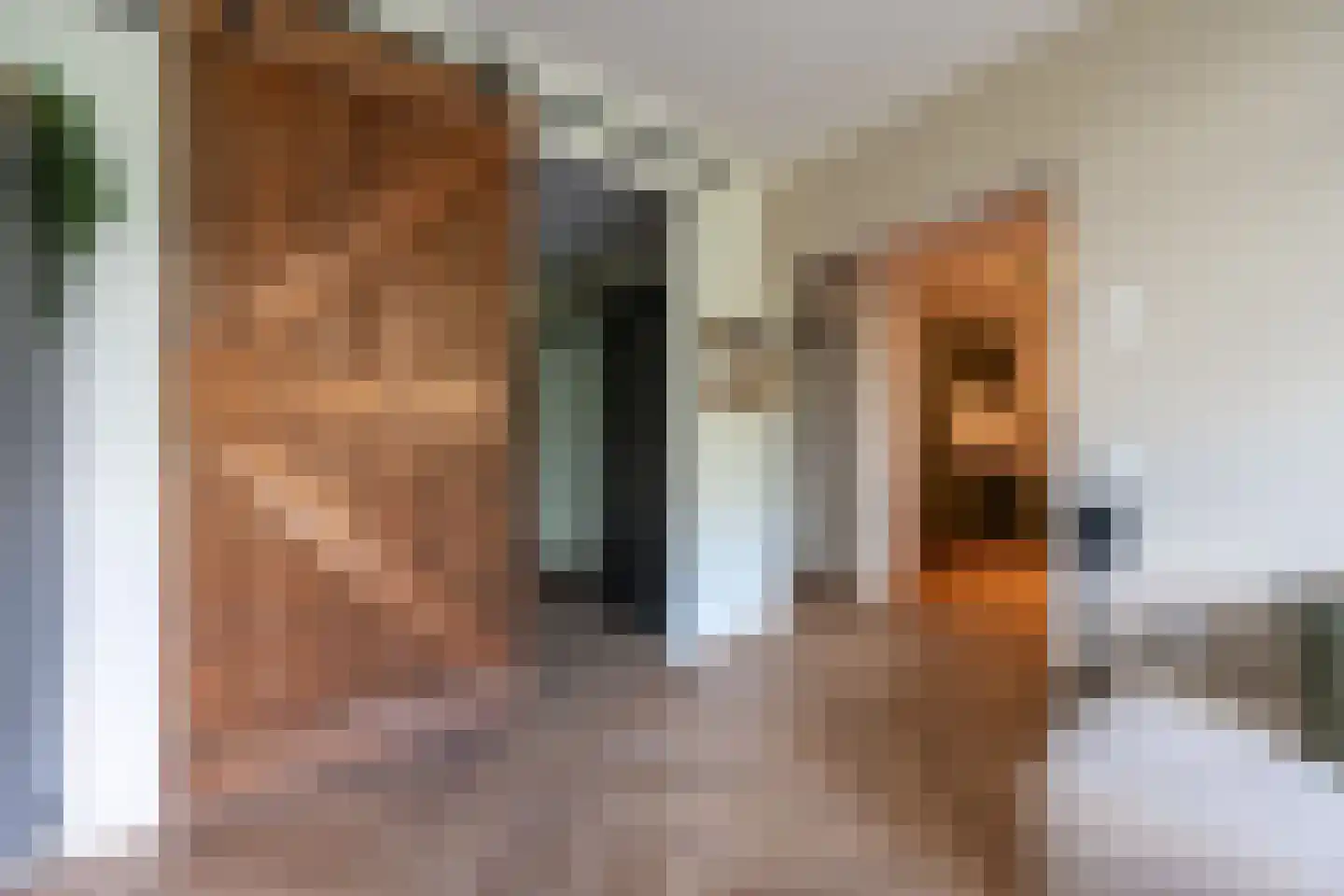 Laan van Vollenhove 944 Zeist thumbnail 11