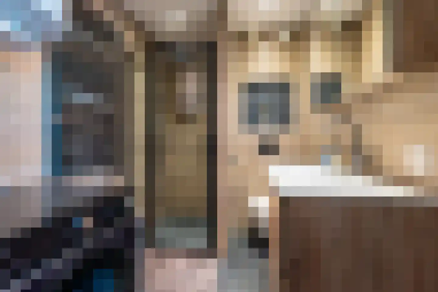 Laan van Vollenhove 944 Zeist thumbnail 15