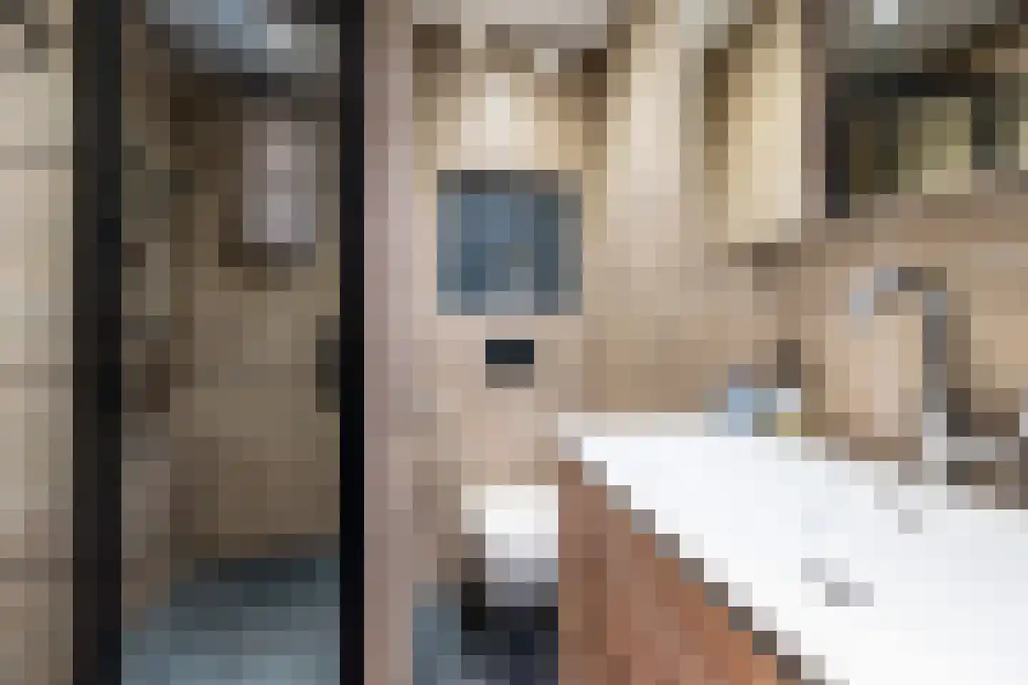 Laan van Vollenhove 944 Zeist thumbnail 16