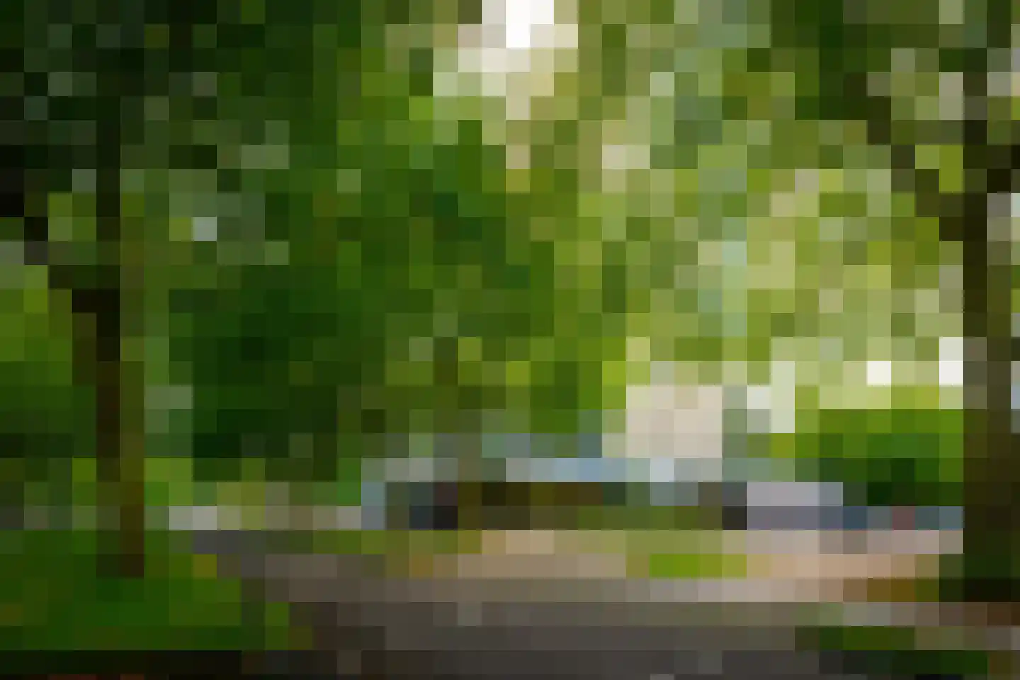 Laan van Vollenhove 944 Zeist thumbnail 22