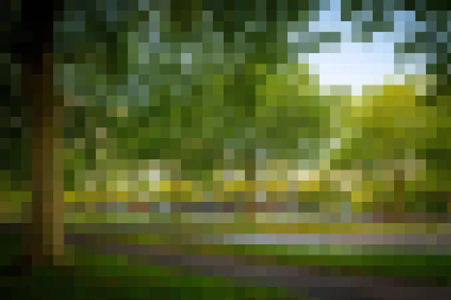 Laan van Vollenhove 944 Zeist thumbnail 23