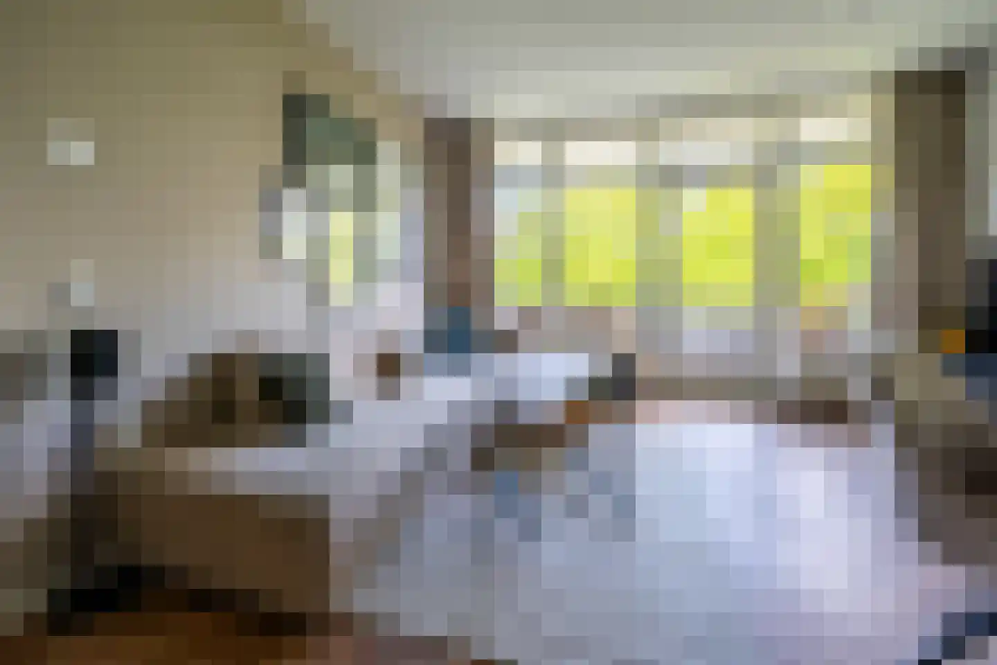 Laan van Vollenhove 944 Zeist thumbnail 5