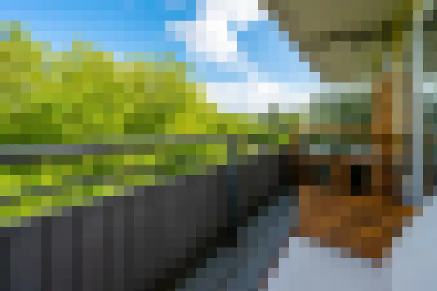 Laan van Vollenhove 944 Zeist thumbnail 7