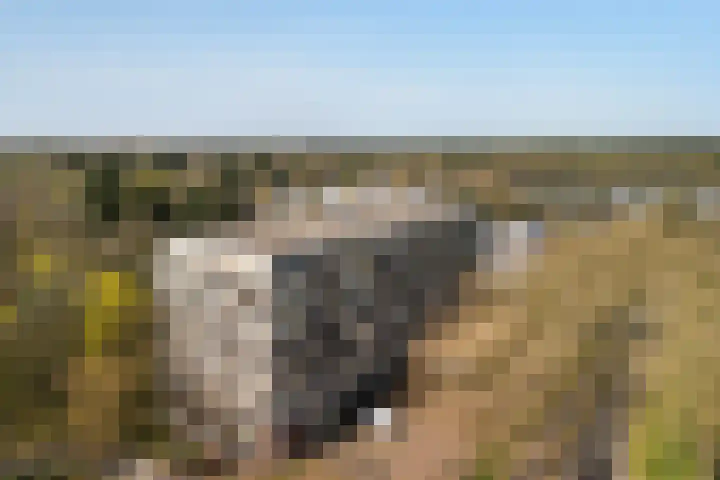 Laan van Vollenhove 950 Zeist thumbnail 16