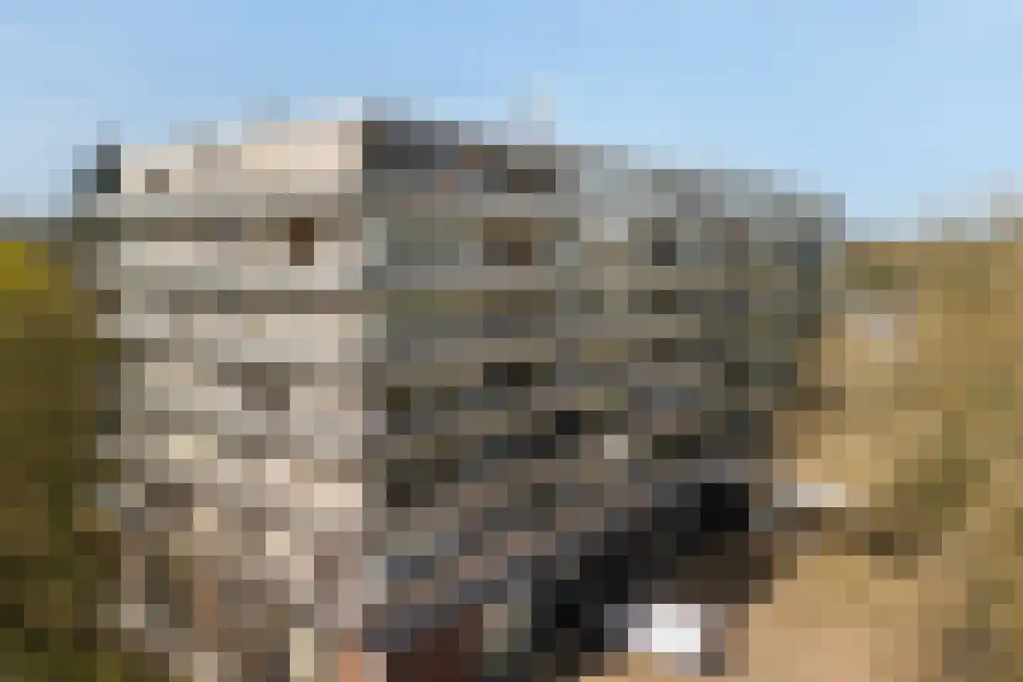 Laan van Vollenhove 950 Zeist thumbnail 18