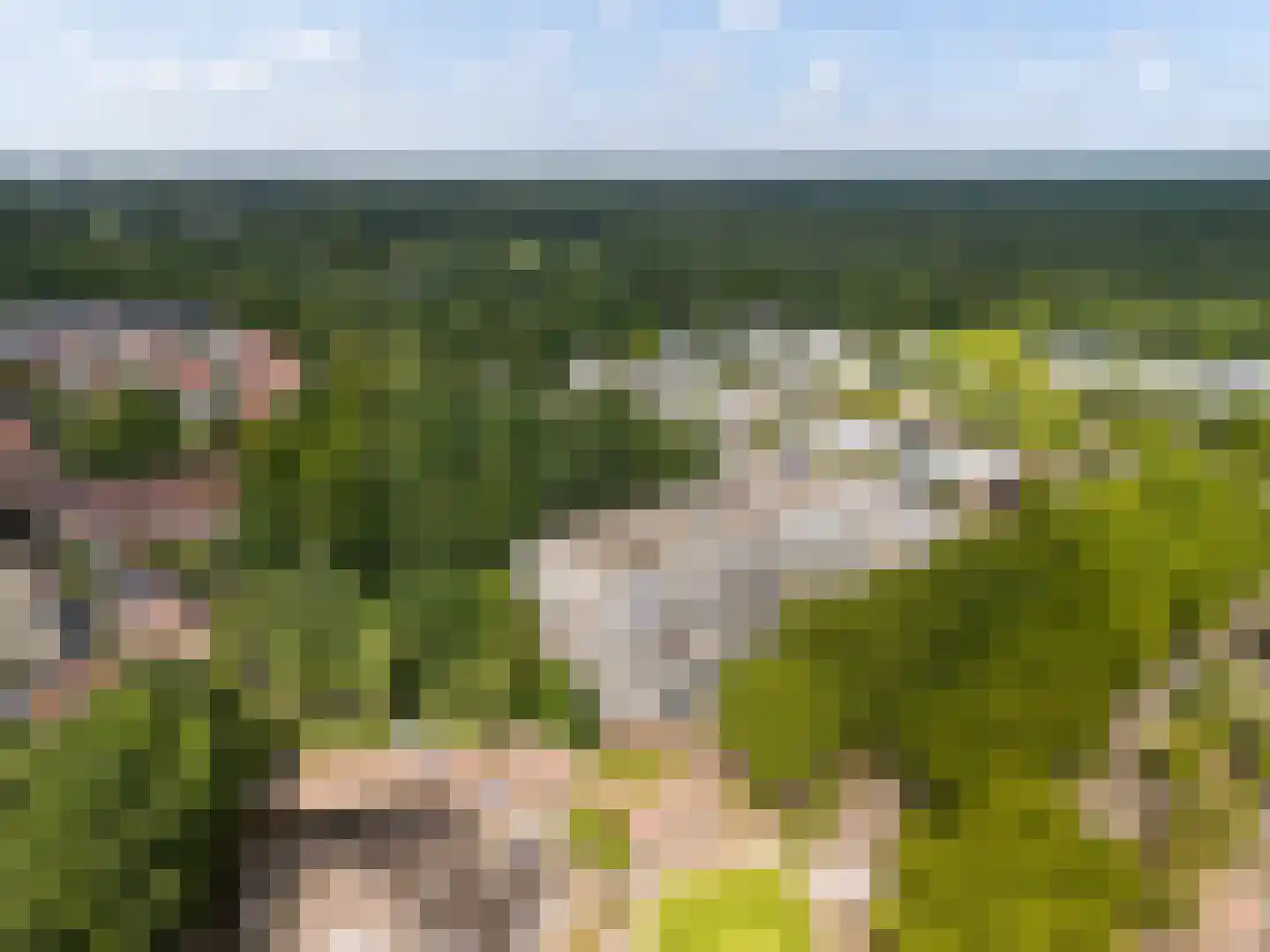 Laan van Vollenhove 950 Zeist thumbnail 24
