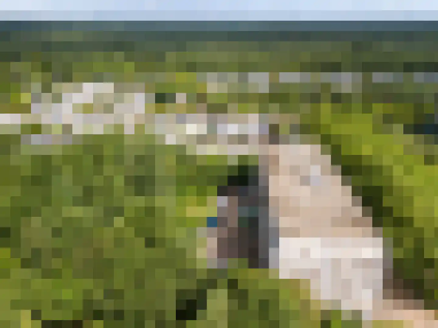 Laan van Vollenhove 950 Zeist thumbnail 25
