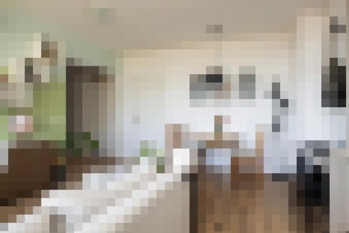 Laan van Vollenhove 950 Zeist thumbnail 6