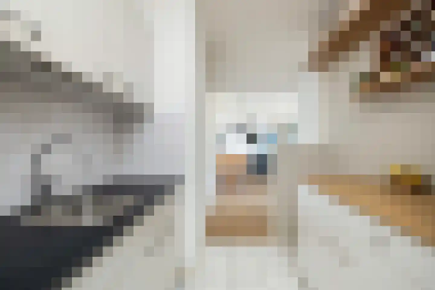 Laan van Vollenhove 950 Zeist thumbnail 9