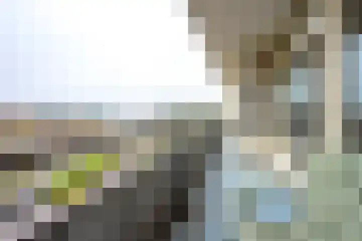 Laan van Vollenhove 952 Zeist thumbnail 14