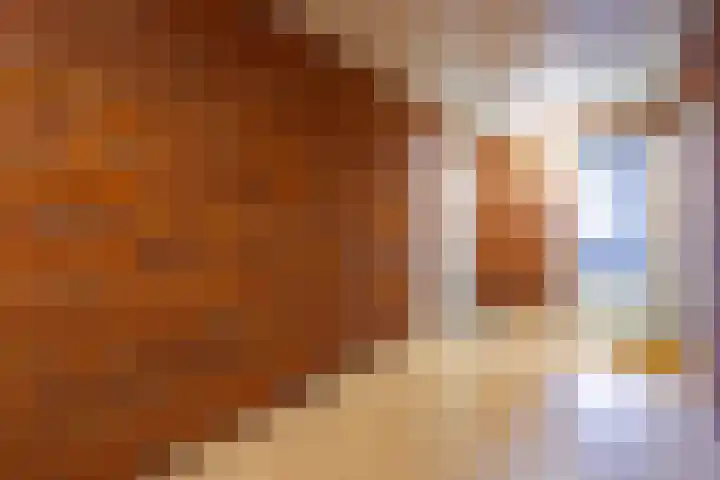 Laan van Vollenhove 952 Zeist thumbnail 18